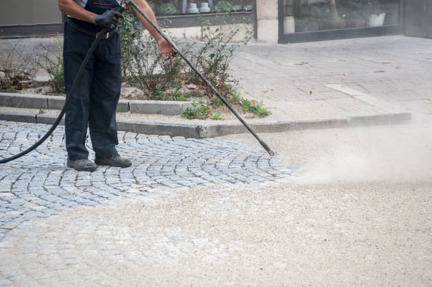 Best Winterizing Services  in Jonesboro, IL